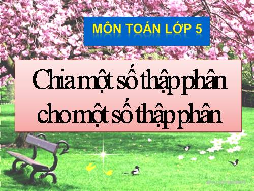 Chia một số thập phân cho một số thập phân