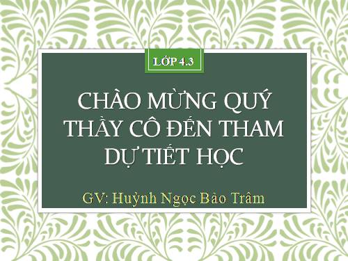 Tuần 29-30. MRVT: Du lịch - Thám hiểm