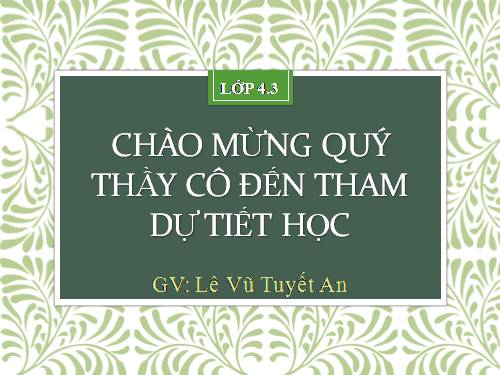 Tuần 29-30. MRVT: Du lịch - Thám hiểm