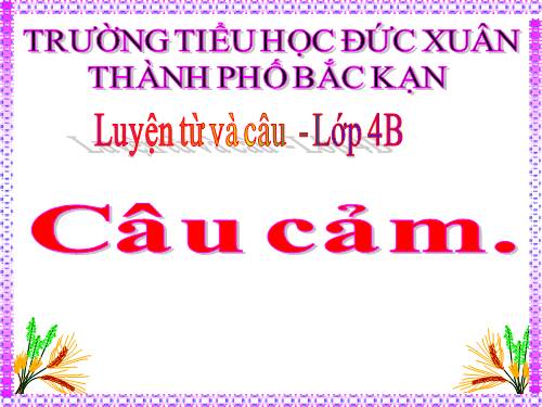 Tuần 30. Câu cảm