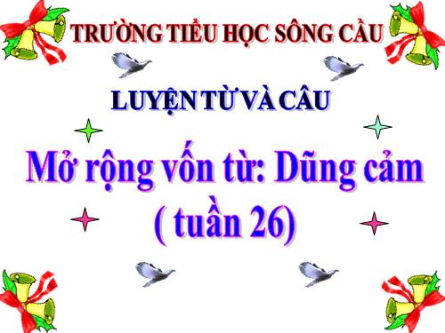 Tuần 25-26. MRVT: Dũng cảm