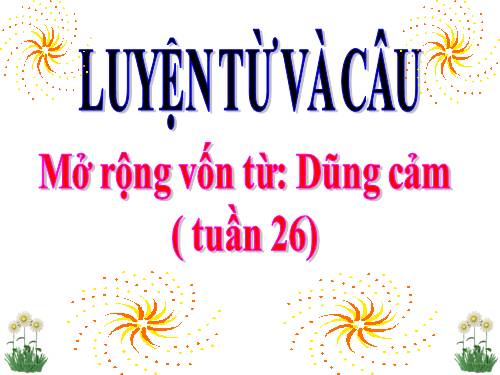 Tuần 25-26. MRVT: Dũng cảm