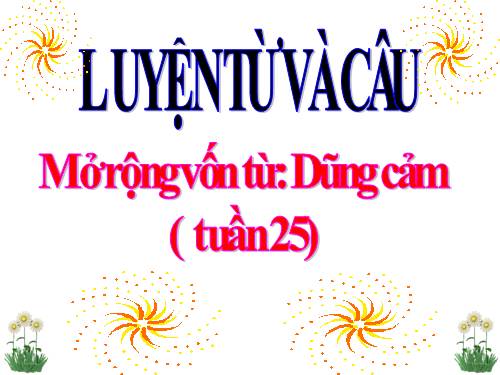 Tuần 25-26. MRVT: Dũng cảm