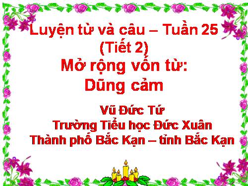 Tuần 25-26. MRVT: Dũng cảm