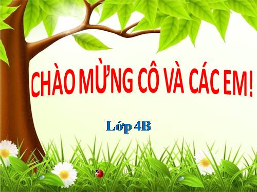 Tuần 24. Câu kể Ai là gì?