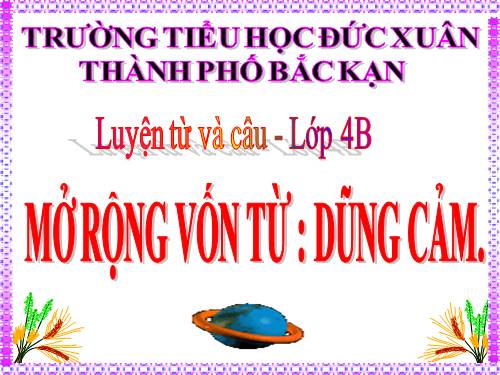 Tuần 25-26. MRVT: Dũng cảm