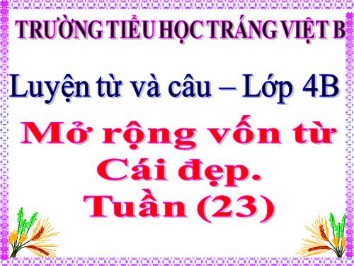 Tuần 22-23. MRVT: Cái đẹp