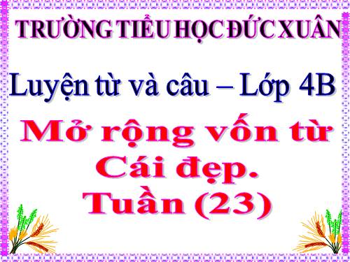 Tuần 22-23. MRVT: Cái đẹp