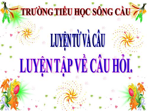 Tuần 14. Luyện tập về câu hỏi