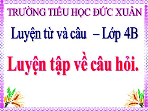 Tuần 14. Luyện tập về câu hỏi