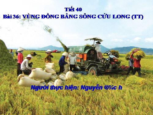 Bài 36. Vùng Đồng bằng sông Cửu Long (tiếp theo)
