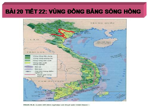 Bài 20. Vùng Đồng bằng sông Hồng