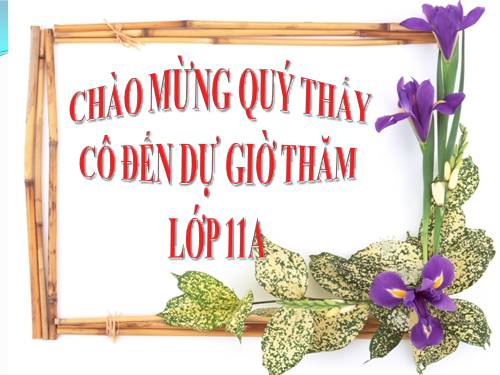 Bài 16. Hợp chất của cacbon