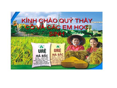 Bài 12. Phân bón hoá học