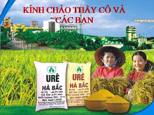 Bài 12. Phân bón hoá học