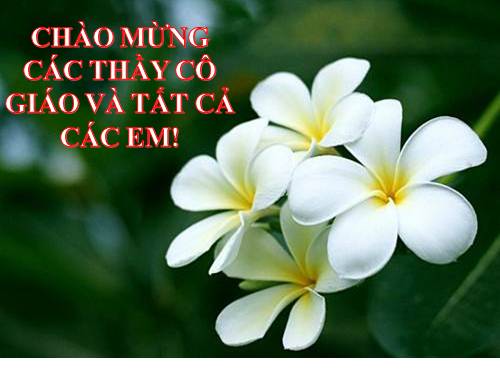 Bài 4. Phản ứng trao đổi ion trong dung dịch các chất điện li