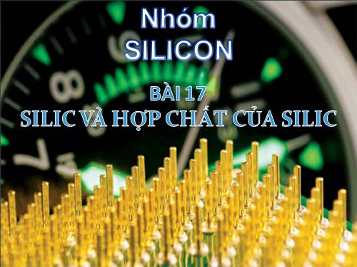 Silic-tích hợp liên môn