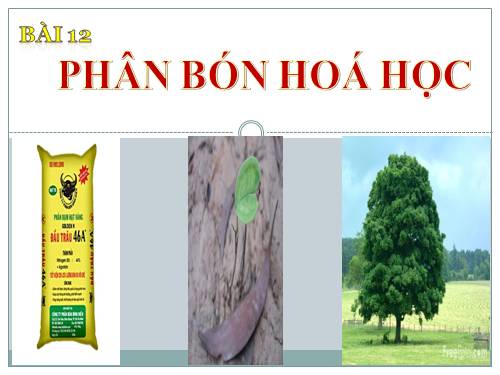 Bài 12. Phân bón hoá học