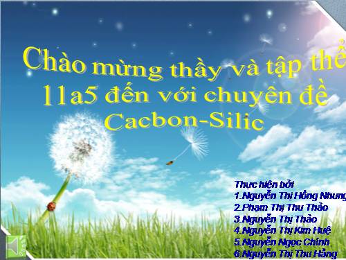 Bài 19. Luyện tập: Tính chất của cacbon, silic và các hợp chất của chúng