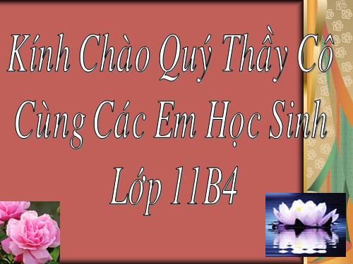 Bài 16. Hợp chất của cacbon