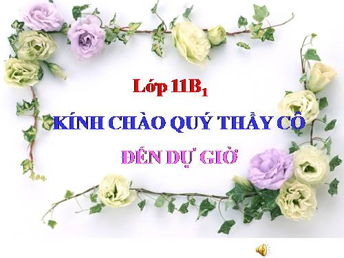 Bài 13. Luyện tập: Tính chất của nitơ, photpho và các hợp chất của chúng