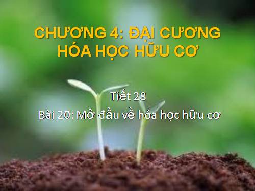 Bài 20. Mở đầu về hoá học hữu cơ