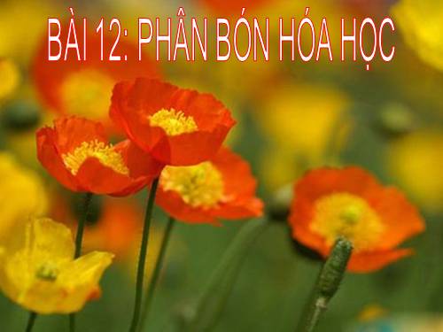 Bài 12. Phân bón hoá học