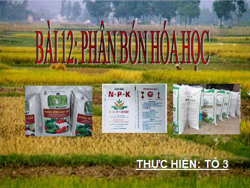 Bài 12. Phân bón hoá học