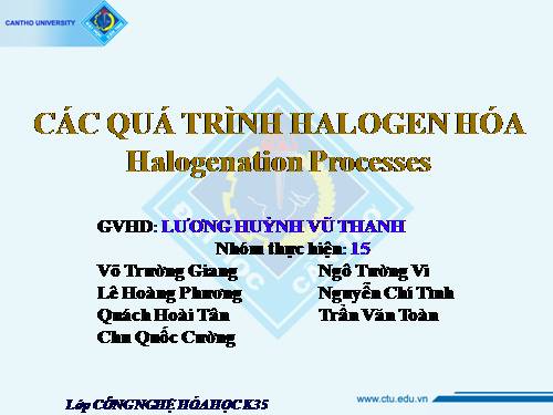 halogen hoa