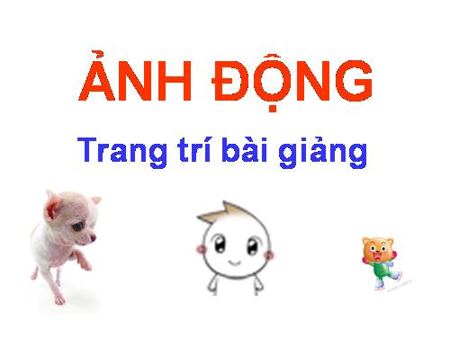 Hinh anh dong trang tri bai giang