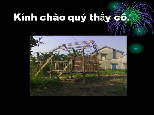 Tự học là chính