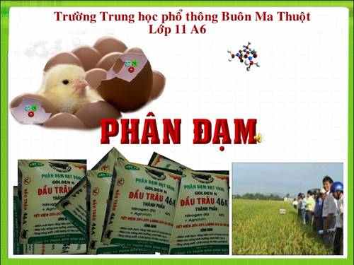 Phân Đạm