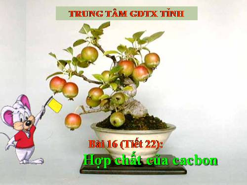 Bài 16. Hợp chất của cacbon