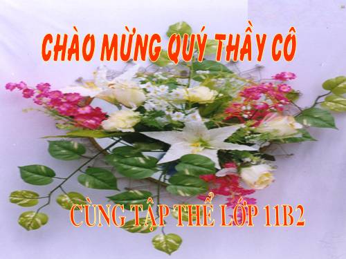 Bài 11. Axit photphoric và muối photphat