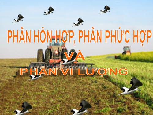 PHAN BON