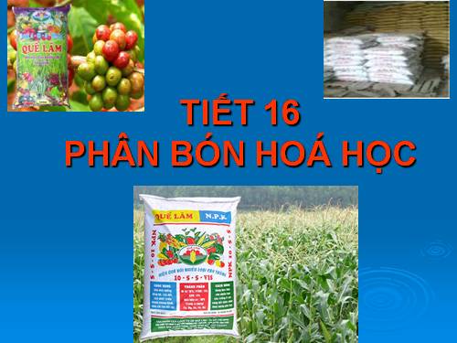 Bài 12. Phân bón hoá học