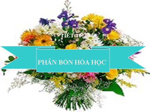 Bài 12. Phân bón hoá học