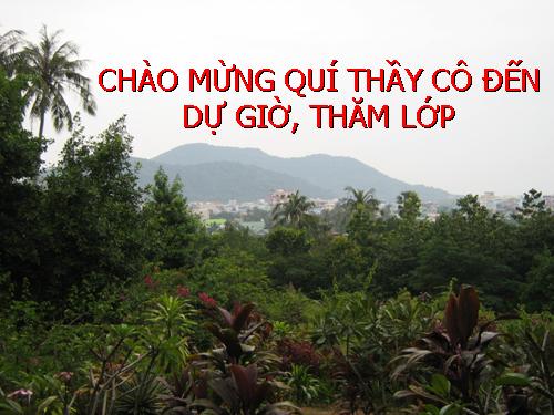 Bài 37. Nguồn hiđrocacbon thiên nhiên