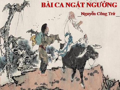 Tuần 4. Bài ca ngất ngưởng