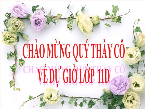 Tuần 14. Bản tin