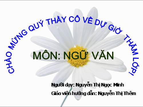 Tuần 28. Người cầm quyền khôi phục uy quyền