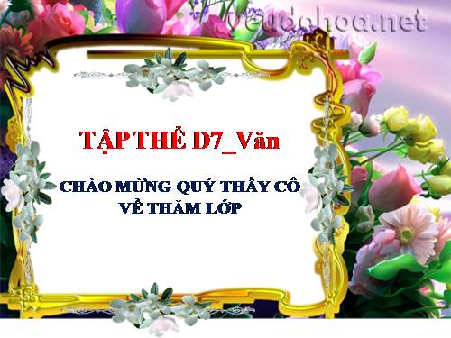 Tuần 25. Đặc điểm loại hình của Tiếng Việt