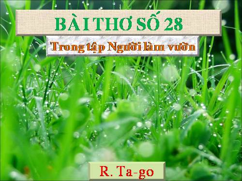 Tuần 26. Đọc thêm: Bài thơ số 28