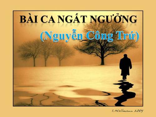 Tuần 4. Bài ca ngất ngưởng