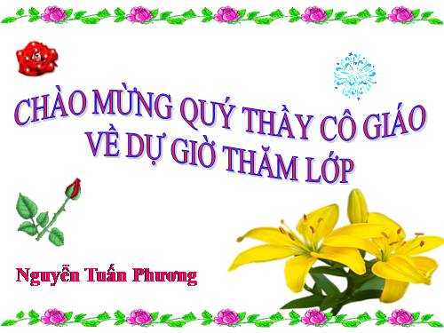 Tuần 12. Hạnh phúc của một tang gia