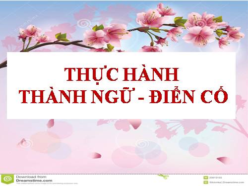 Tuần 6. Thực hành về thành ngữ, điển cố