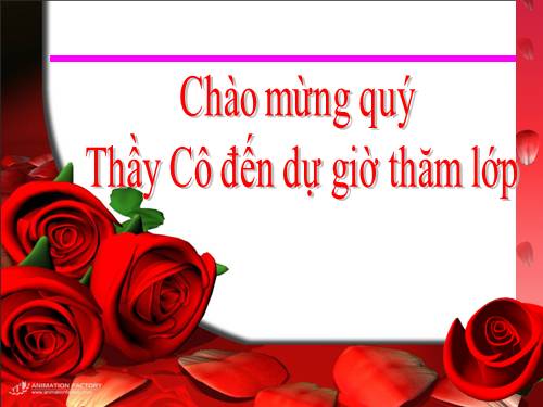 Tuần 12. Hạnh phúc của một tang gia