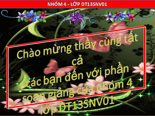 Tuần 27. Người trong bao