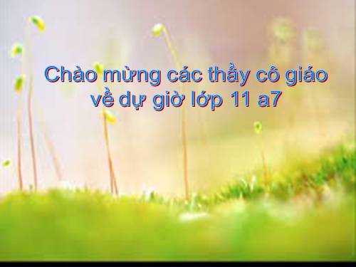 Tuần 23. Đây thôn Vĩ Dạ