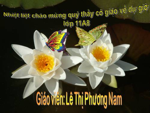 Tuần 25. Đặc điểm loại hình của Tiếng Việt